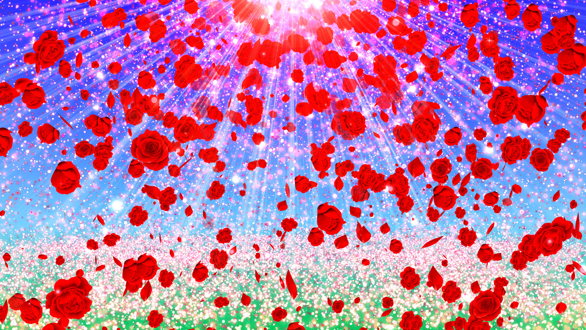 バラと空の光（春）