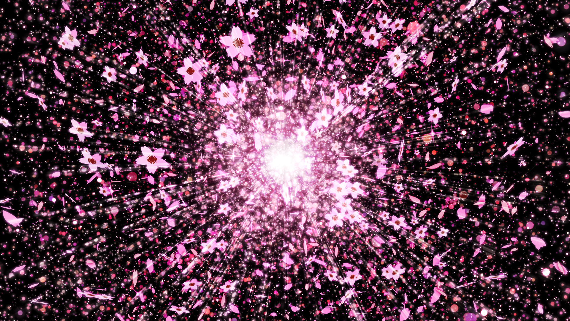 春の光（桜）