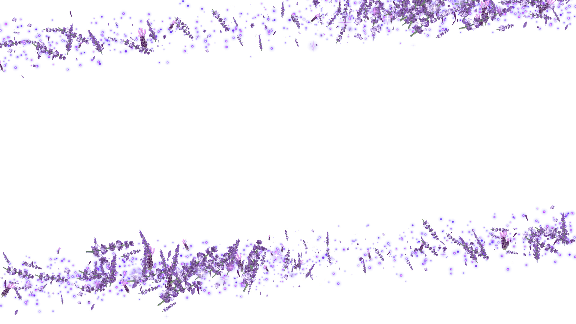 夏のラベンダー（フレーム）-白バック