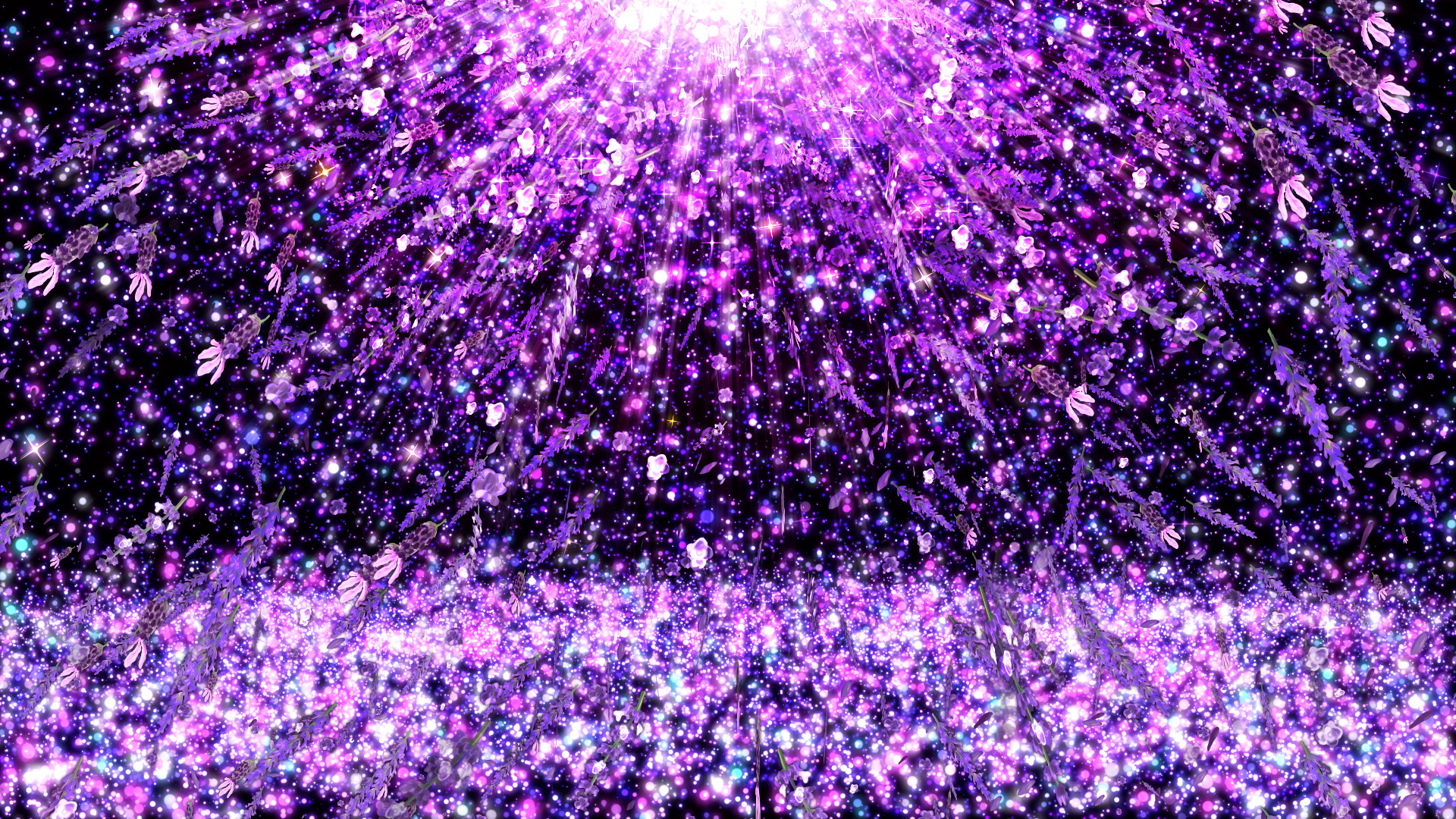 ラベンダーが舞い降りる（夏）