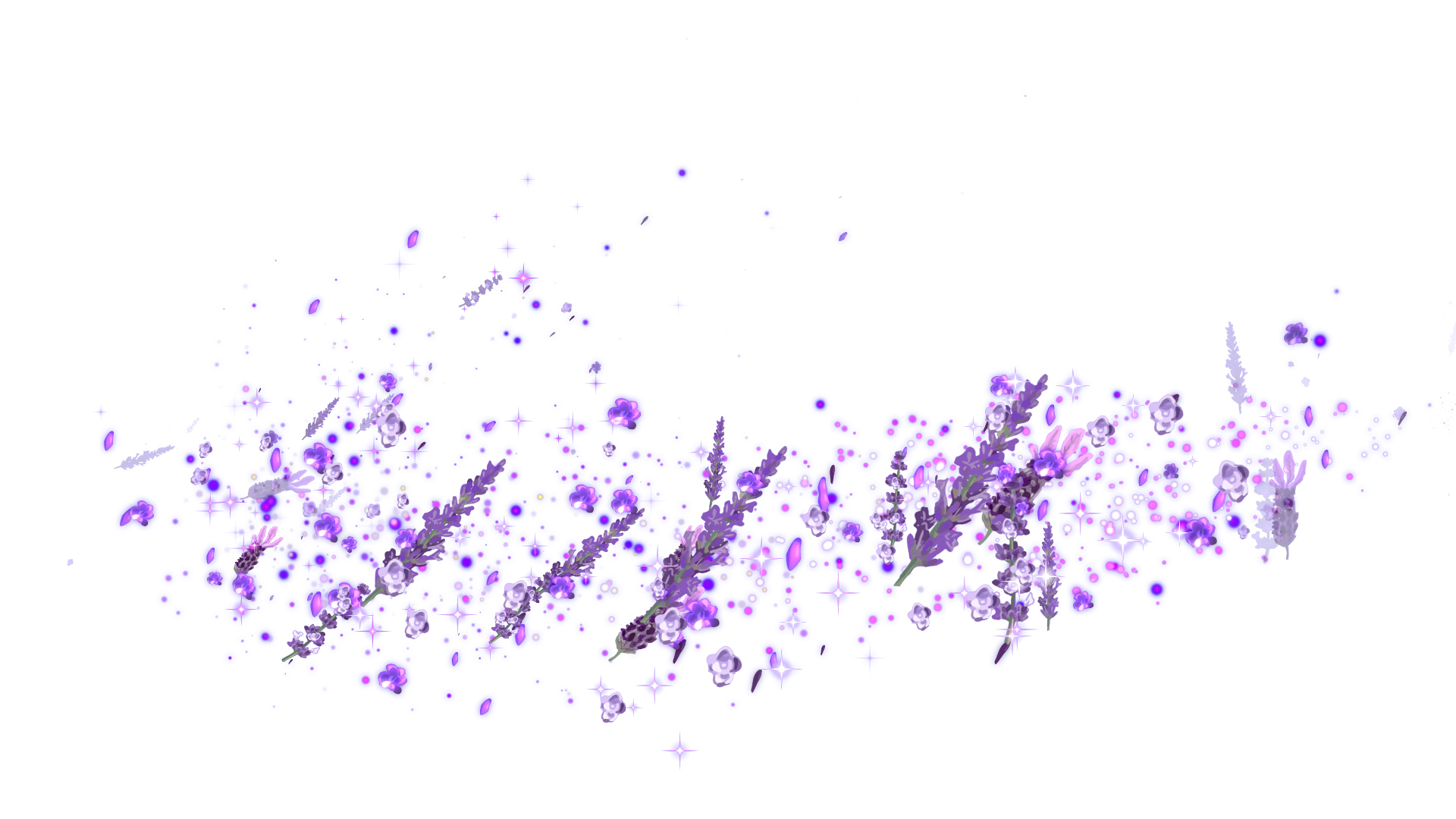 夏のラベンダー（回転）-白バック