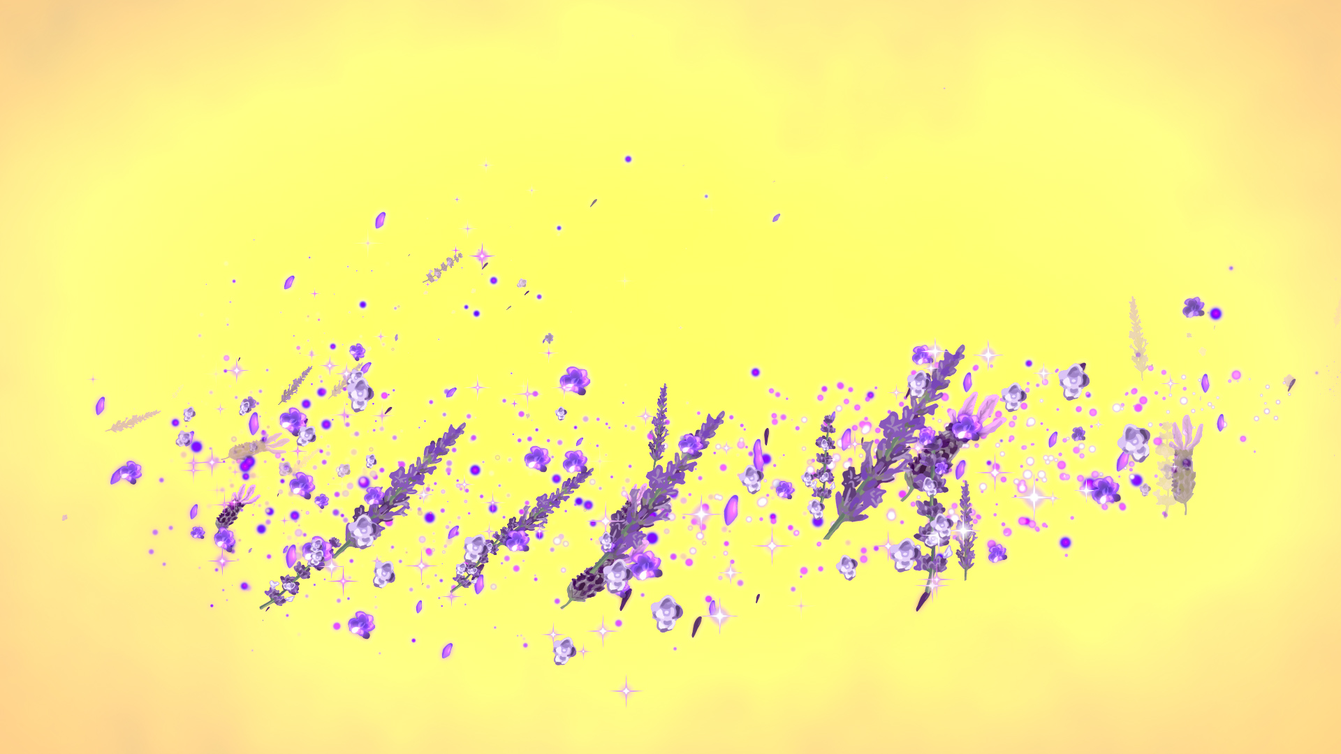 夏のラベンダー（回転）-黄色バック