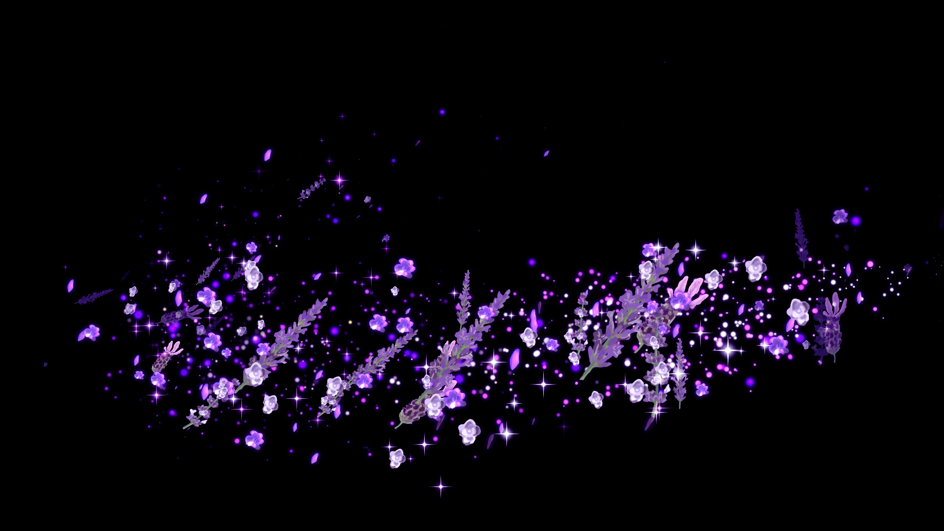 夏のラベンダー（回転）