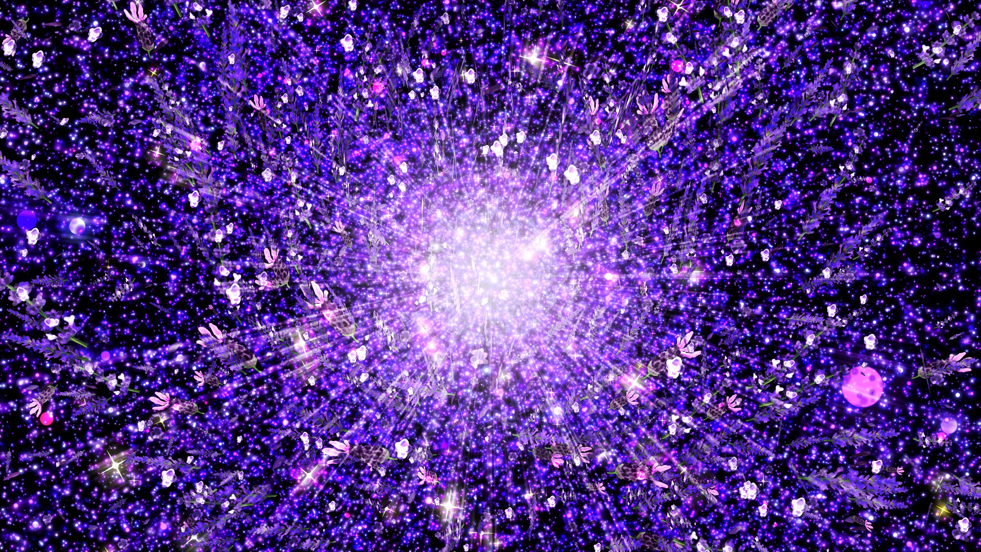 夏の光（ラベンダー）