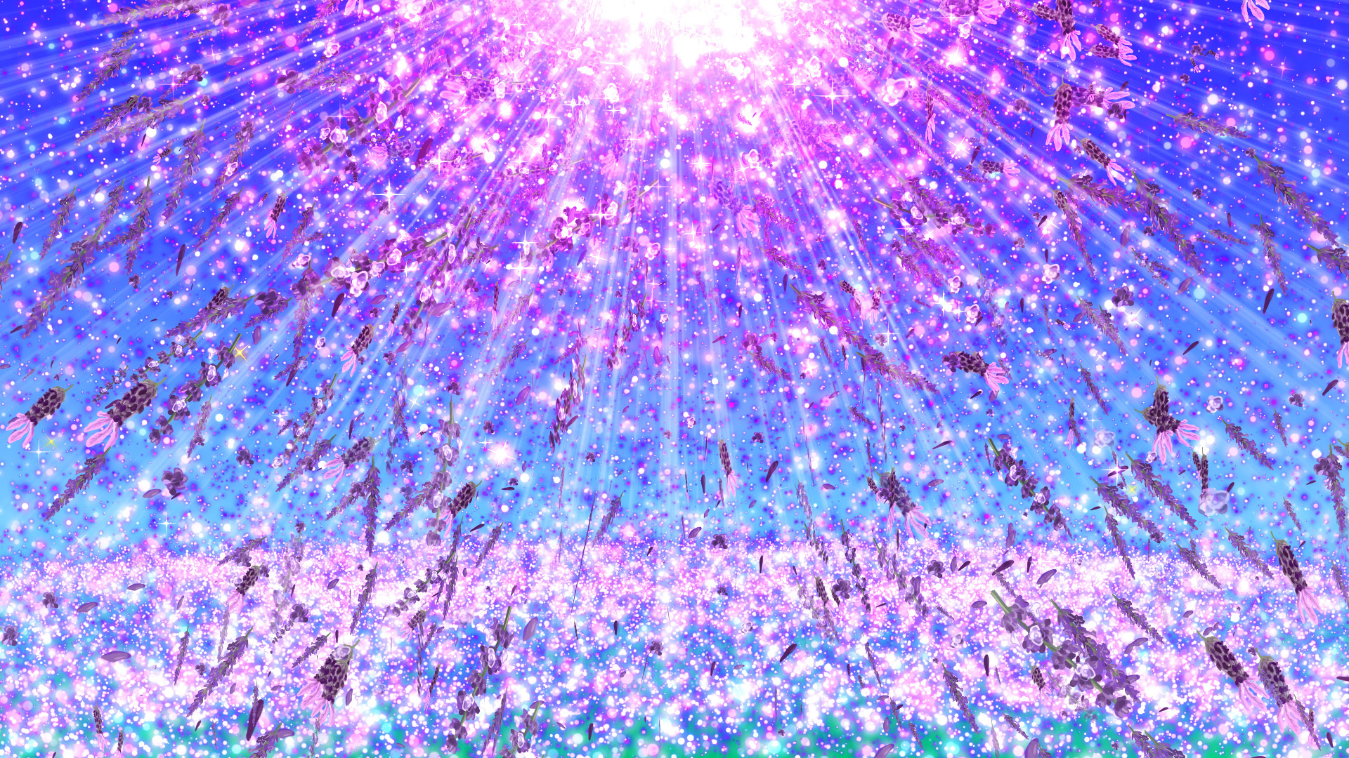 ラベンダーと空の光（夏）