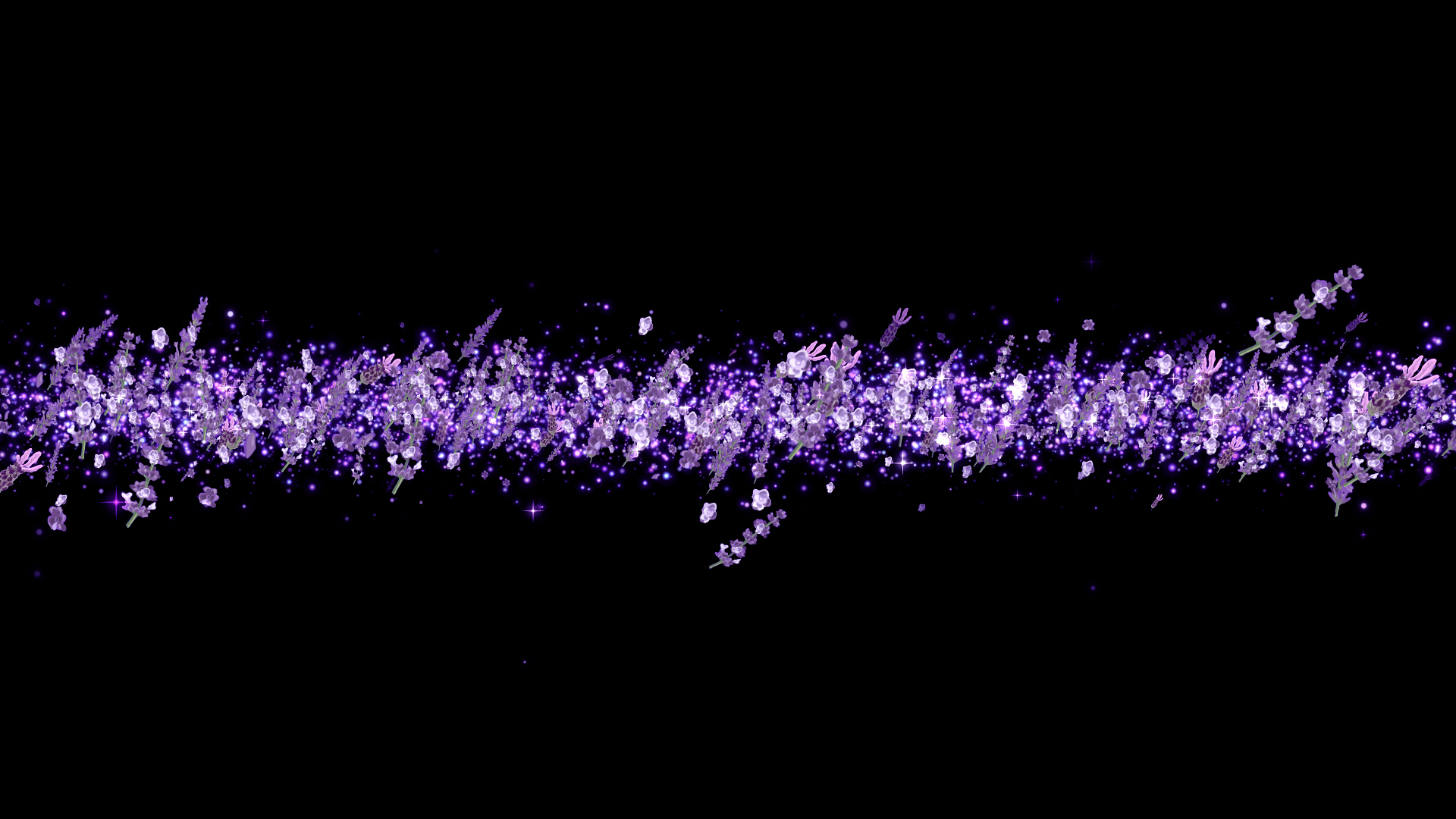 夏のラベンダー（タイトル用）