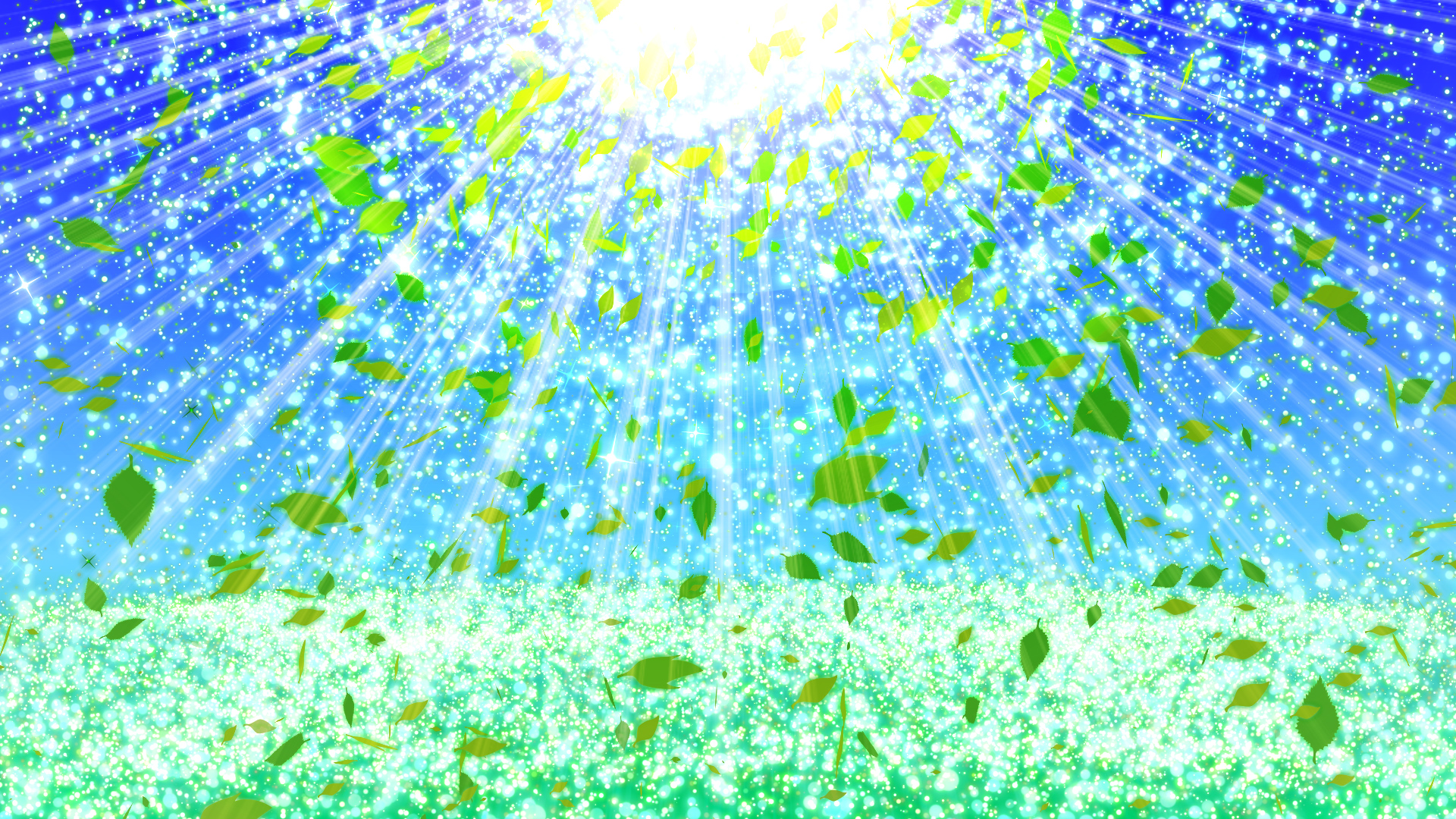 新葉と空の光（夏）