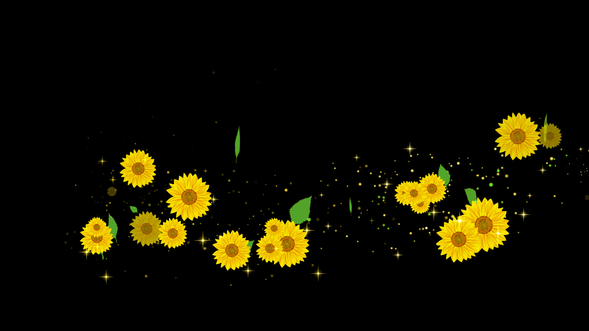 夏のひまわり（回転）