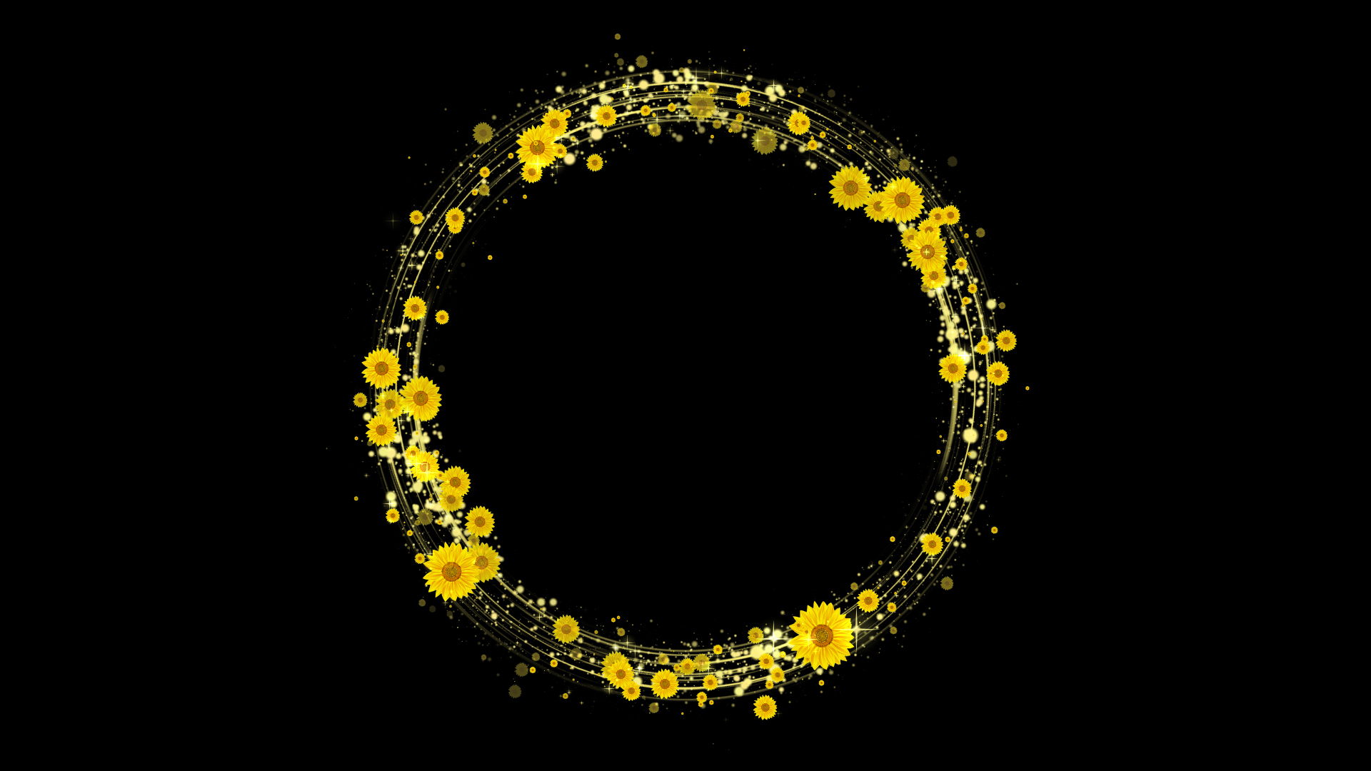 丸く光る夏のひまわり