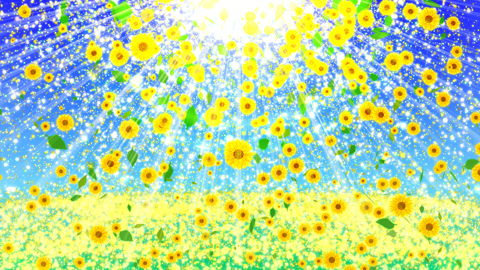 ひまわりと空の光（夏）