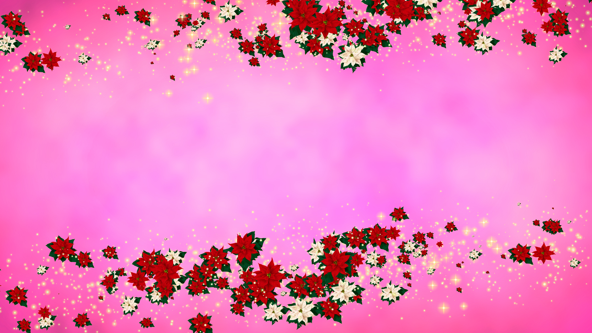 冬のポインセチア（フレーム）-ピンクバック