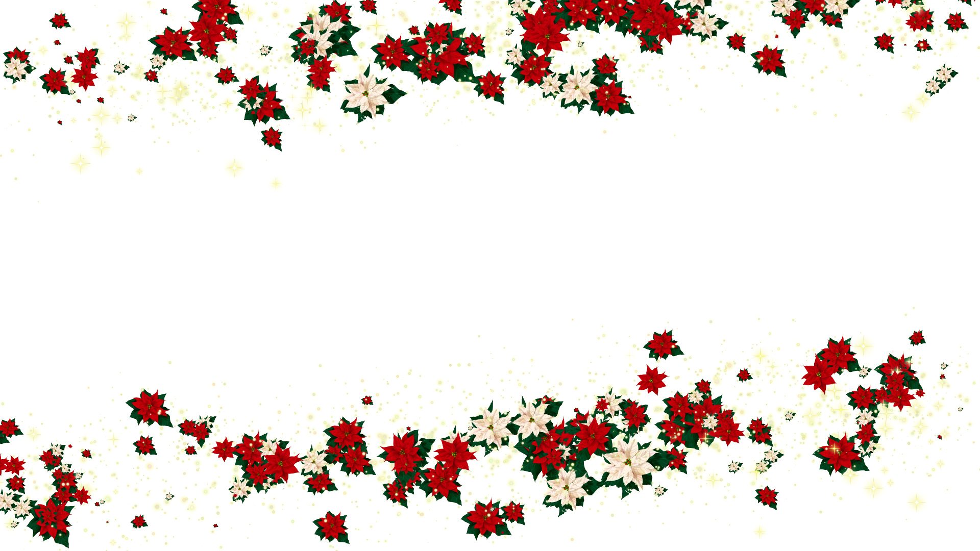 冬のポインセチア（フレーム）-白バック