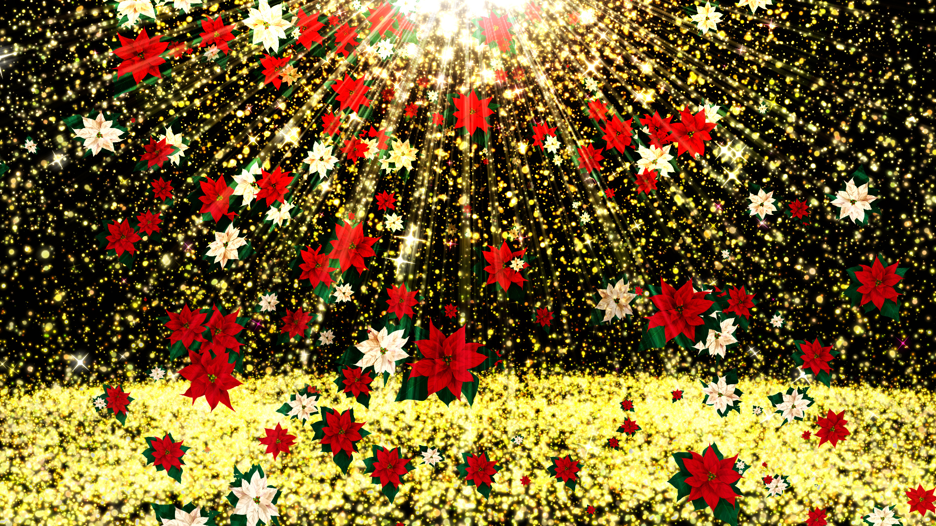 ポインセチアが舞い降りる（冬）