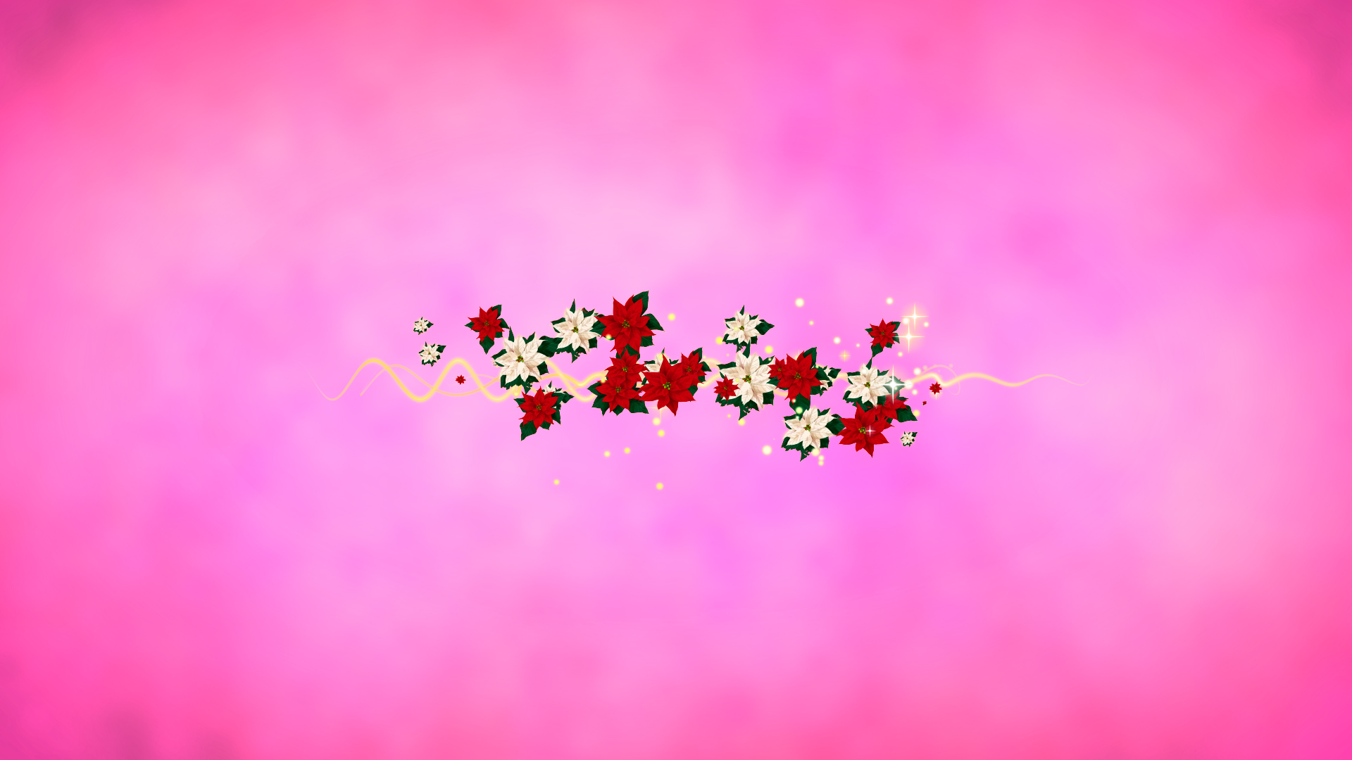 冬のポインセチア（文字用）-ピンクバック