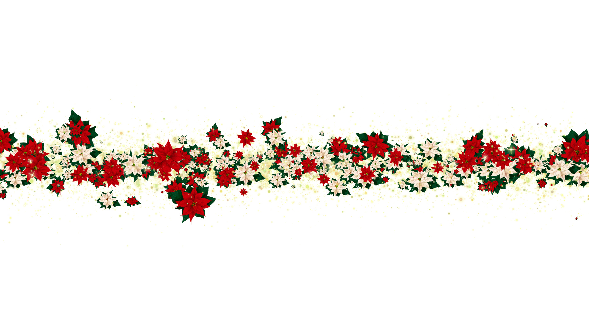 冬のポインセチア タイトル用-白バック