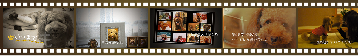 アフリカの動画編集作品