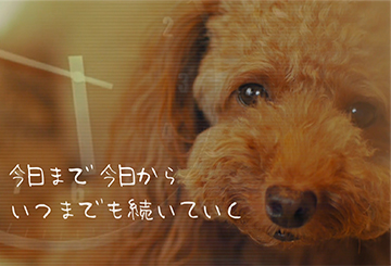 旅行・趣味・ペットの動画編集作品